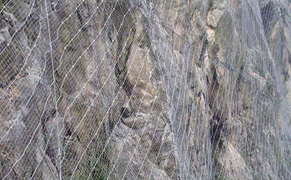 GAR1型主動(dòng)網(wǎng) GAR1型主動(dòng)網(wǎng)