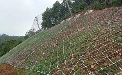 GAR1型主動(dòng)網(wǎng) GAR1型主動(dòng)網(wǎng)