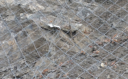 SPIDER絞索網 SPIDER絞索網