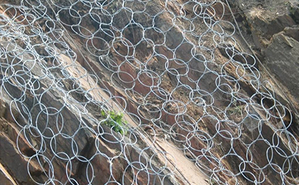 RXI-025型環(huán)形網(wǎng) RXI-025型環(huán)形網(wǎng)