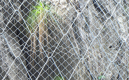 SPIDER絞索網 SPIDER絞索網