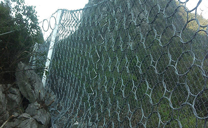 RXI-200型環形網 RXI-200型環形網