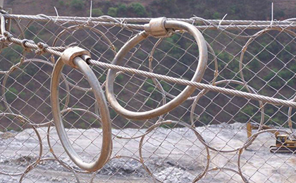 RXI-025型環(huán)形網(wǎng) RXI-025型環(huán)形網(wǎng)