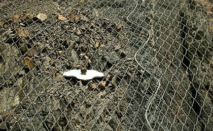 GTC-65A鈦克格柵網 GTC-65A鈦克格柵網