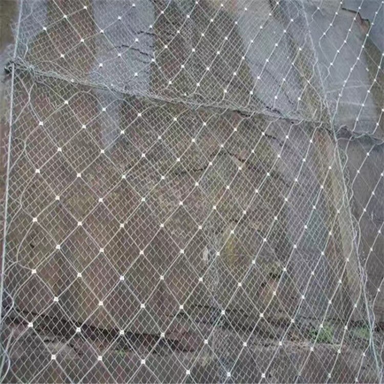 IMG_9438_副本.jpg IMG_9438_副本.jpg