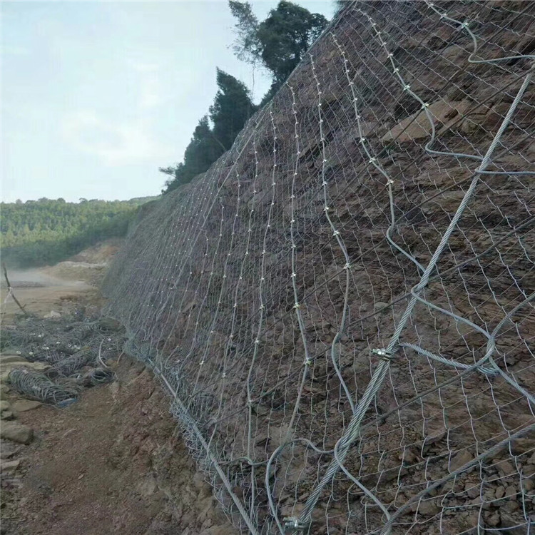 IMG_8856_副本 - 副本.jpg IMG_8856_副本 - 副本.jpg