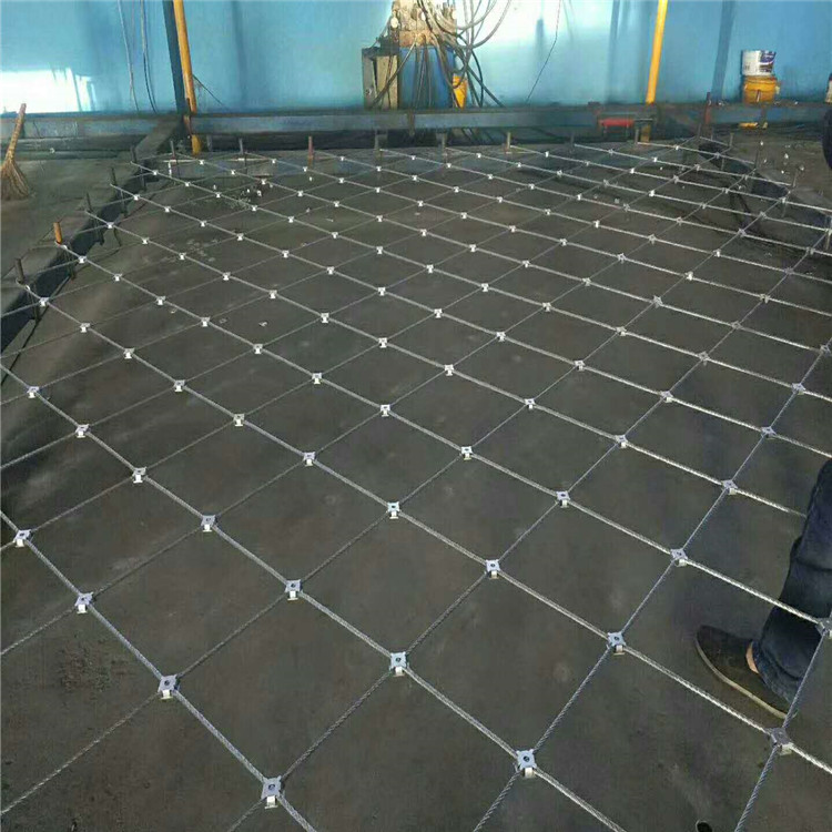 IMG_8358.JPG IMG_8358.JPG