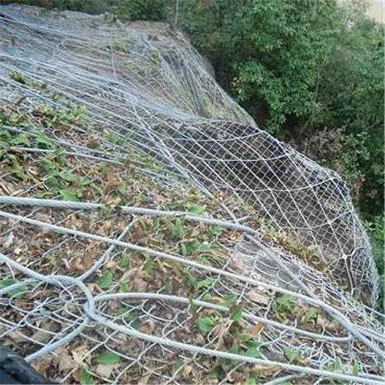 timgCAJX9AHK11.jpg timgCAJX9AHK11.jpg