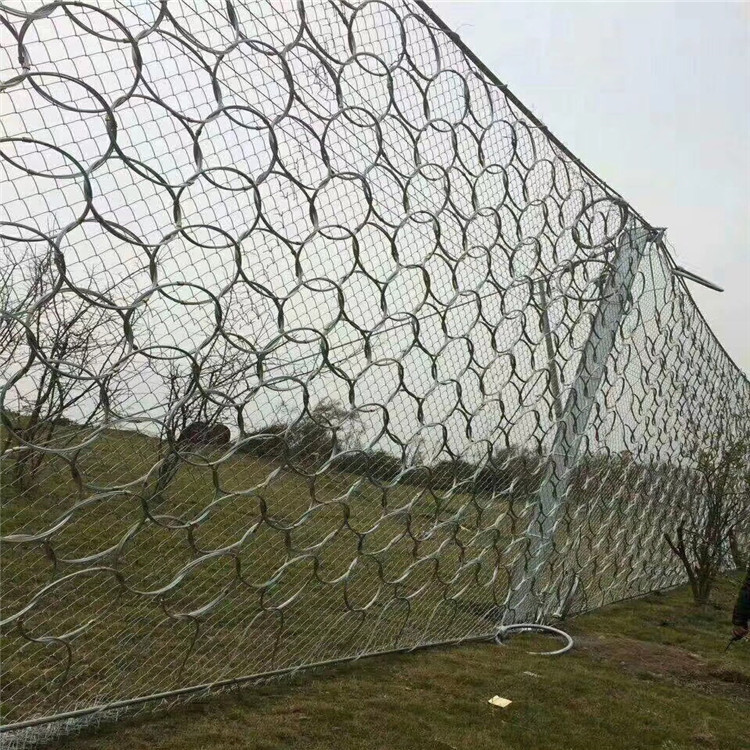 mmexport1531134438118.jpg mmexport1531134438118.jpg