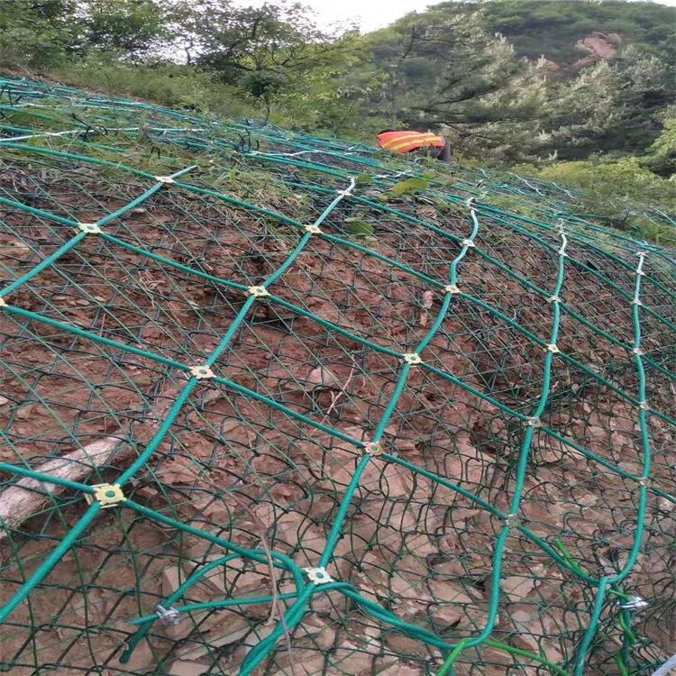 4dd13c9a69cf1ac71a47287cfa7b48c3_u=2720055077,3089616772&fm=199&app=68&f=JPEG_w=750&h=750&s=7A882CC146BEE7CE1024D40C0300D0D3.jpg 4dd13c9a69cf1ac71a47287cfa7b48c3_u=2720055077,3089616772&fm=199&app=68&f=JPEG_w=750&h=750&s=7A882CC146BEE7CE1024D40C0300D0D3.jpg