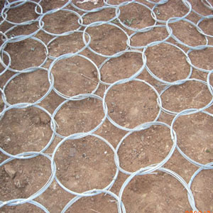 20100423093756122602_t3.jpg 20100423093756122602_t3.jpg